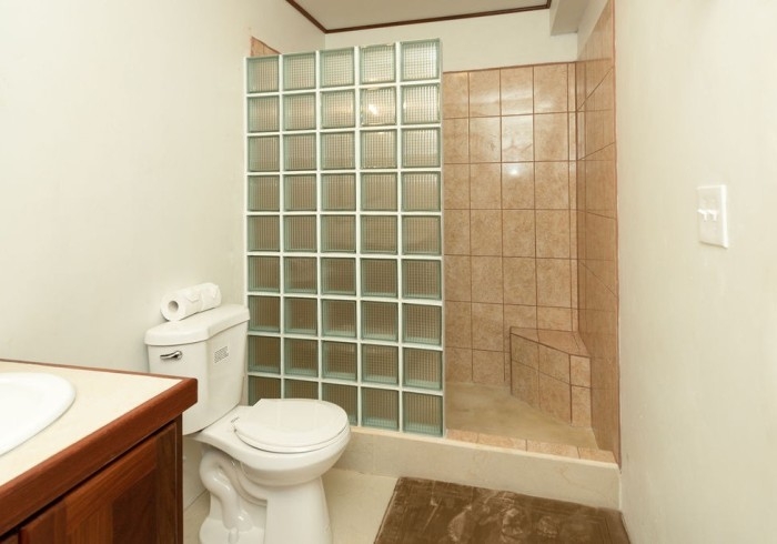 Wood vanity with white sink, white toilet, and shower with glass block divider and neutral tiles