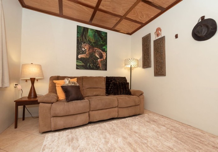 Tan couch with throw pillows, cream and tan area rug, end table with lamp, floor lamp, wall hangings, and large picture of lion on wall