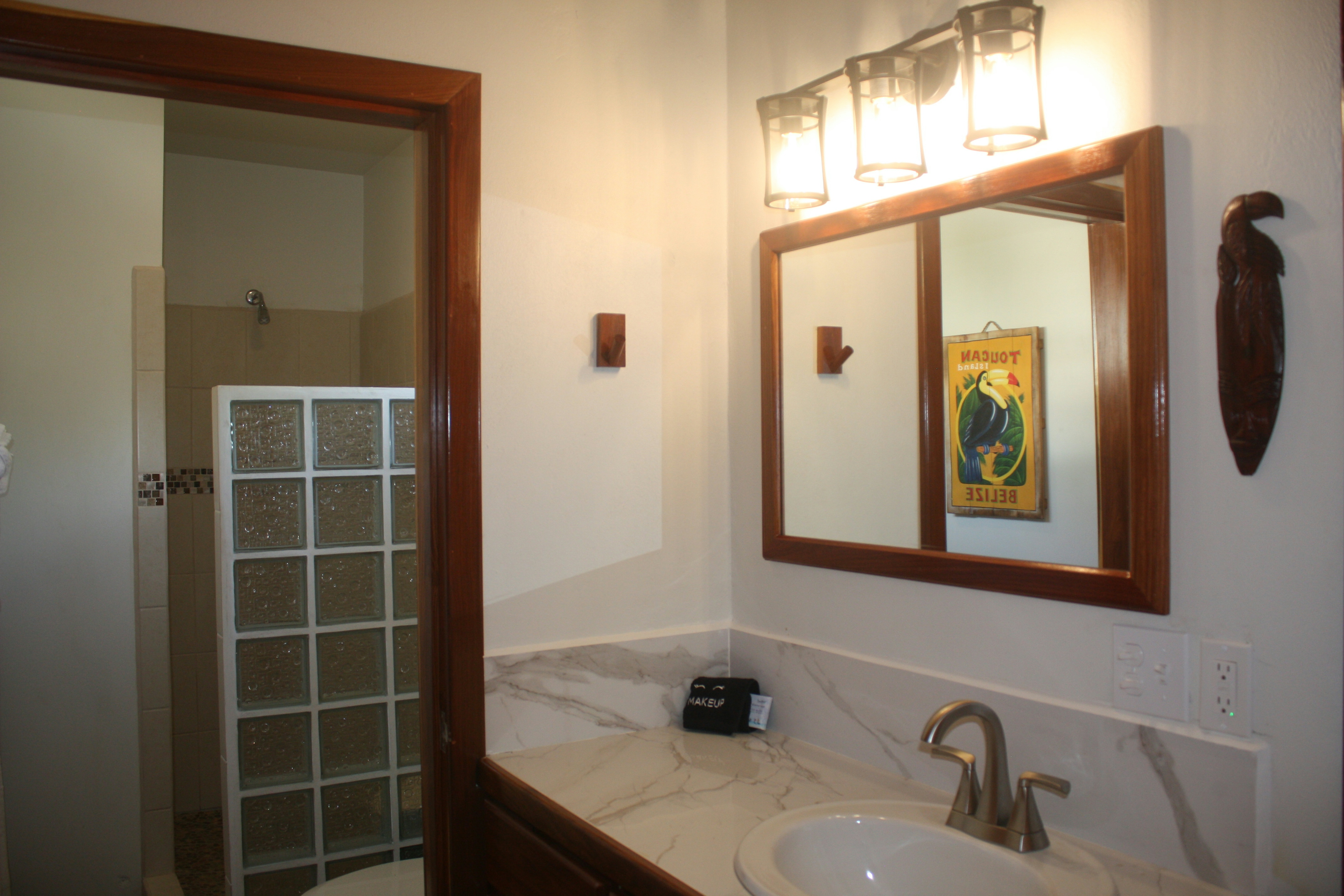 Bathroom vanity with mirror reflecting toucan picture and door leading into tiled shower area