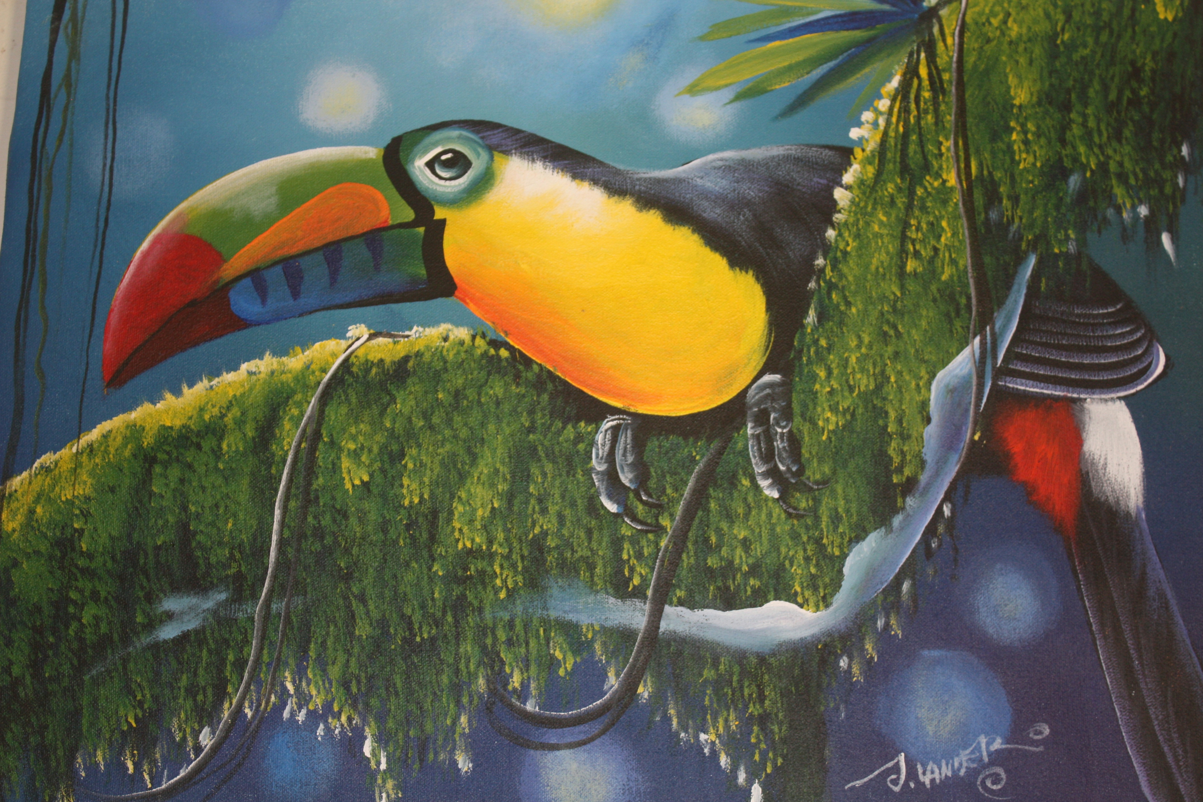 Close up of a colorful toucan painting