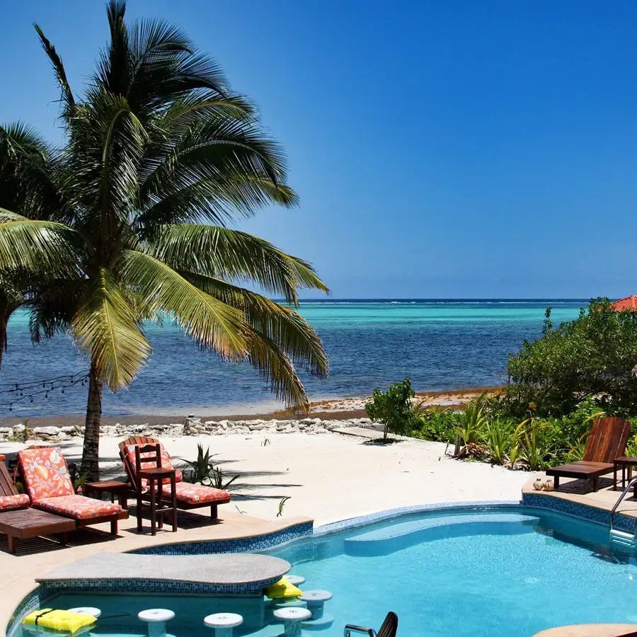 Pool in foreground with wood lounge chairs, large palm tree, with beach and brilliant blue ocean behind and cloudless blue sky above 