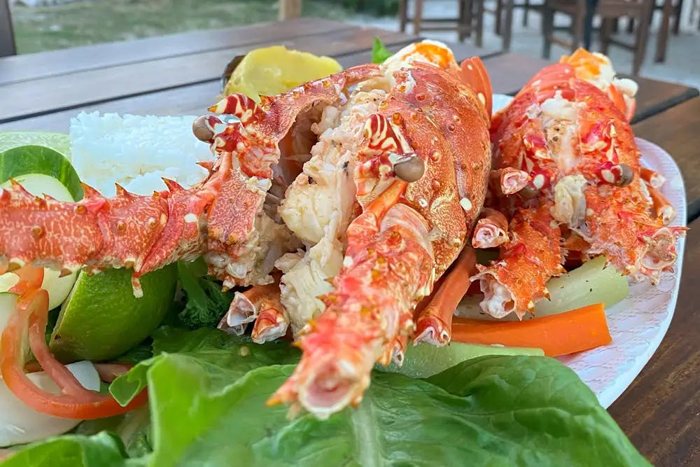 Platter of seafood on a bed of fresh vegetables and lime on the side