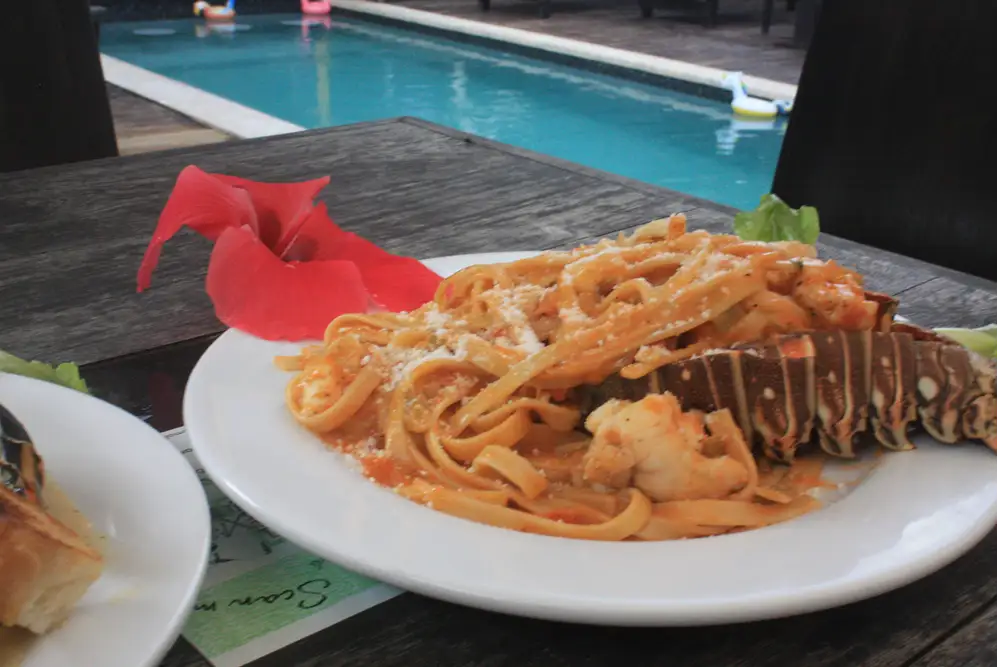 Closeup of a white plate with lobster and pasta in sauce garnished with a tropical flower on a wood table with pool in the background 