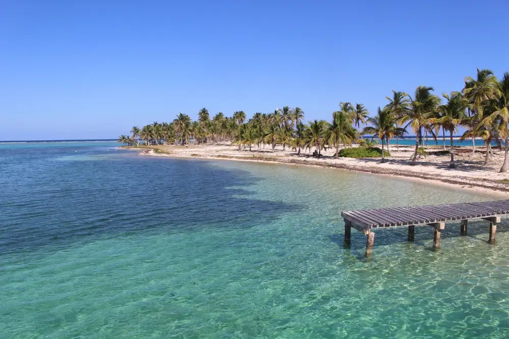 Sea, sand, island with palm trees