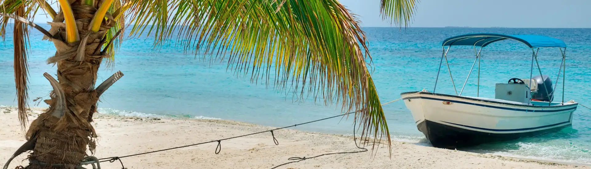 White boat tied to palm tree on sandy beach with blue ocean water