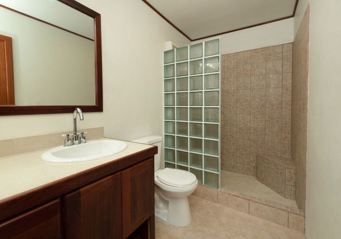 Dark brown wood vanity with mirror, white toilet, shower with neutral tiles