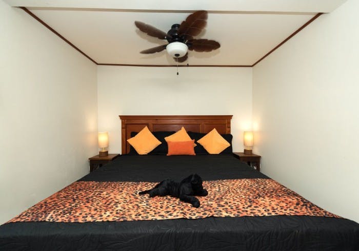 Wooden bed with black sheets and animal print cover, orange throw pillows, stuffed black panther, nightstands with matching lamps, and palm frond style ceiling fan