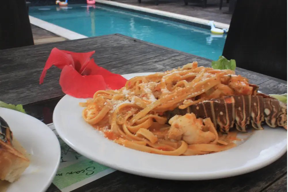 Closeup of a white plate with lobster and pasta in sauce garnished with a tropical flower on a wood table with pool in the background